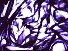 Picture for song 'Diska' by artist '47Veron47'