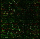 Picture for song 'From Nothing' by artist '9th Origin'