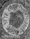 Picture for song 'Tyburn Tree' by artist 'A Cry of Hounds'