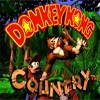 Picture for song 'Donkey Kong Country - Icing' by artist 'actionBob'