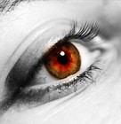 Picture for song 'Somethin Nice' by artist 'Agent Orange 4120'