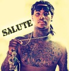 Picture for song 'SALUTE (WAKA FLOCKA HEAT - DIRTY SOUTH/// FREE DL)' by artist 'Ahktane Entertainment'