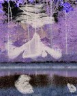 Picture for song 'witte wieven' by artist 'aldotic'