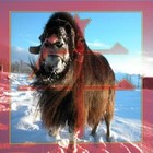 Picture for song 'Mantr0x (Boi Mantra)' by artist 'AlienAqtor'