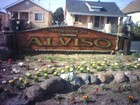 Picture for song 'mikes life' by artist 'alviso records'