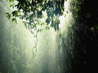 Picture for song 'Rainy season' by artist 'Ambient Fabric'