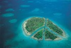Picture for song 'Solomon Islands' by artist 'Analog Chill'