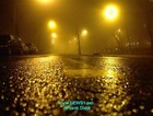 Picture for song 'Street Creatures ft. MM(Doe-Low, BIGSHOT & Anon)' by artist 'Anonymous of BrokenHaloProductions'