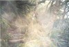 Picture for song 'Lost' by artist 'Equanimity'