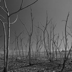 Picture for song 'Desolate (Emotional) Free Download' by artist 'Arson Of ENCORE'
