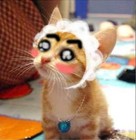 Picture for song 'love sick' by artist 'A-TeN10'