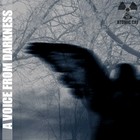 Picture for song 'A voice from Darkness' by artist 'Atomic cat'