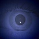 Picture for song 'Every Thing I See 642040' by artist 'Aura June'