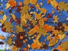 Picture for song 'Seasons' by artist 'AvMo'
