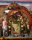 Picture for song 'Mallari in Tisra Triputa Tala' by artist 'Babu Parameswaran'