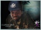 Picture for song 'CodeName: I-R.S.' by artist 'BagMon'