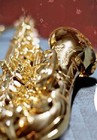 Picture for song 'Honeymoon In Bermuda' by artist 'Bald Sax Guy'