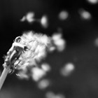 Picture for song 'One Moment (FREE D/L)' by artist 'BEATHOVEN PRODUCTIONS'