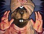 Picture for song 'If You Could Read My Mind' by artist 'BeaverDude'