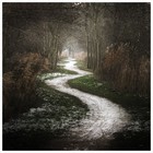 Picture for song '05 Path Of Life (Produced by Peet).mp3' by artist 'Bennie Blanco Official'