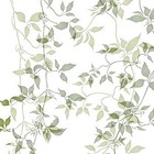 Picture for song 'Leaves On A Vine' by artist 'Beth Jetton'