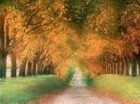 Picture for song 'Improvise-betty2007-10-28(¬î¤Ñªº¤ß±¡)' by artist 'Betty5411'