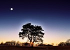 Picture for song 'Night Fall' by artist 'Big Sky Blues Band'