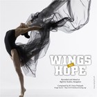 Picture for song 'Wings To Hope' by artist 'bigtimestudios'