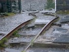 Picture for song 'Back On Track' by artist 'Bill Cannon'