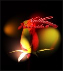 Picture for song 'Shadow Sound' by artist 'BILLION DOLLAR STATUS'