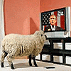 Picture for song 'For The Sheeple' by artist 'Bill Samsel'