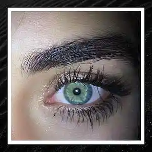 Picture for song 'MOONWALKING - Powfu x Lil Peep Type Beat' by artist 'Bino Made The Beat'