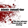 Picture for song 'ENTITY' by artist 'bionic industries'