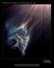 Picture for song 'Tranquil Domain' by artist 'Bio Rhythmic'