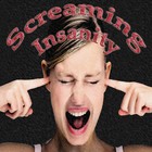 Picture for song 'Screaming Insanity' by artist 'BK Nerd Beats'