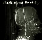 Picture for song 'Lifeless' by artist 'black eyed beauty'