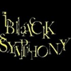 Picture for song 'LIFE SYMPHONY' by artist 'BLACK MOZART'