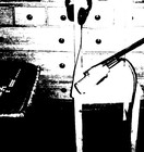 Picture for song 'treetop thrashbolt' by artist 'Blake Hayden'