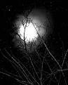 Picture for song 'Nocturn' by artist 'Blind Drunk Catfish'
