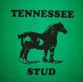 Picture for song 'Tennessee HC' by artist 'bonsai monkey'