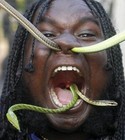 Picture for song 'ZooKeeper (SSP Diss)' by artist 'Boyo (DISS TRACKS)'