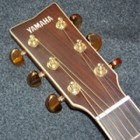 Picture for song 'Green River Blues' by artist 'Braxton Cleburne'