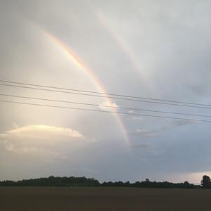 Picture for song 'Aftermath of the Storm' by artist 'Brett Service'