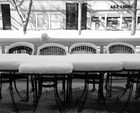 Picture for song 'It's freezing in St. Louis too blues' by artist 'buckd22'