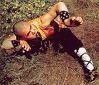 Picture for song 'Tiger Style' by artist 'Bush Assassins'
