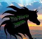 Picture for song 'Little Black Horses' by artist 'Cam7Song'