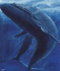 Picture for song 'Save the Earth Revisited' by artist 'Carlo D'Anna'