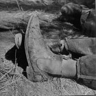 Picture for song 'Sirens.mp3' by artist 'Carl Reese'