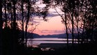 Picture for song 'HIGHWAY OF LOVE (2)' by artist 'Carolyn Haley-Murray'