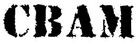 Picture for song 'Southern Bangaz Volume 1' by artist 'CBAM PRO'